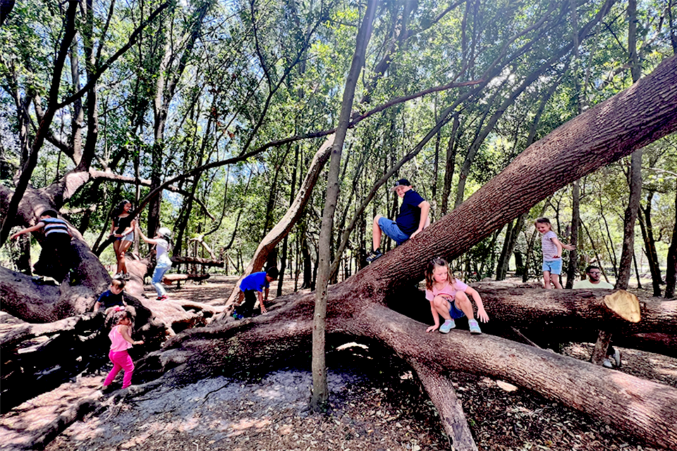 Bonnet Springs Park in Lakeland makes the the perfect outdoor day trip.