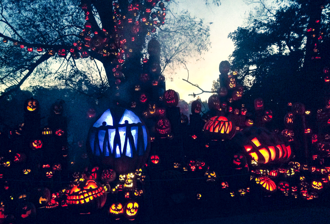 Robots, Airplanes, and More Things to Do in Boston This Weekend with Kids Fall is creeping up with fun things to do around Boston this weekend! Roger Williams Park Zoo photo courtesy of Visit Rhode Island
