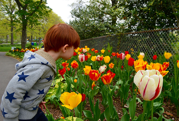Queens Botanical Garden: Festivals, Classes, and Family Fun